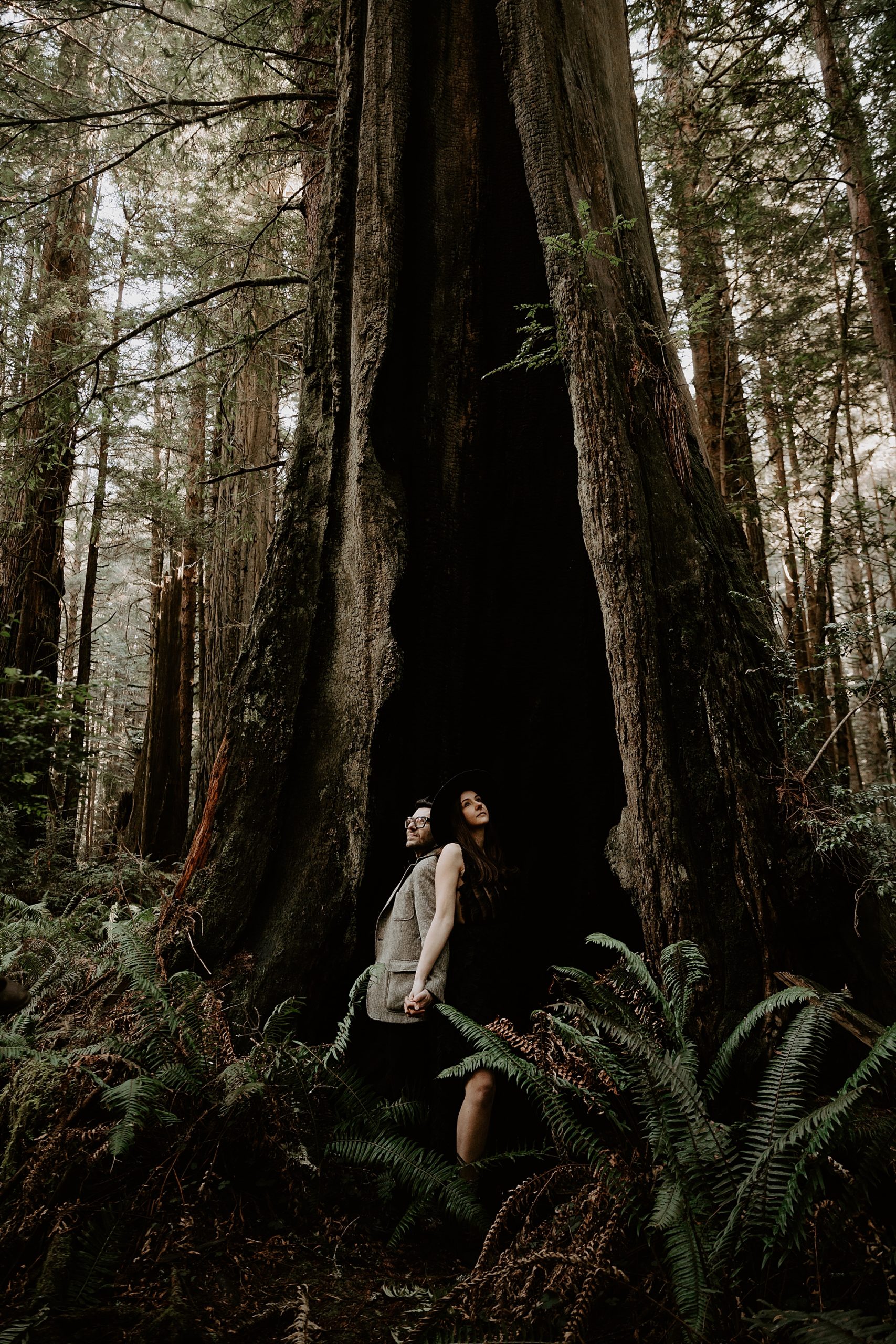 California Redwoods Elopement