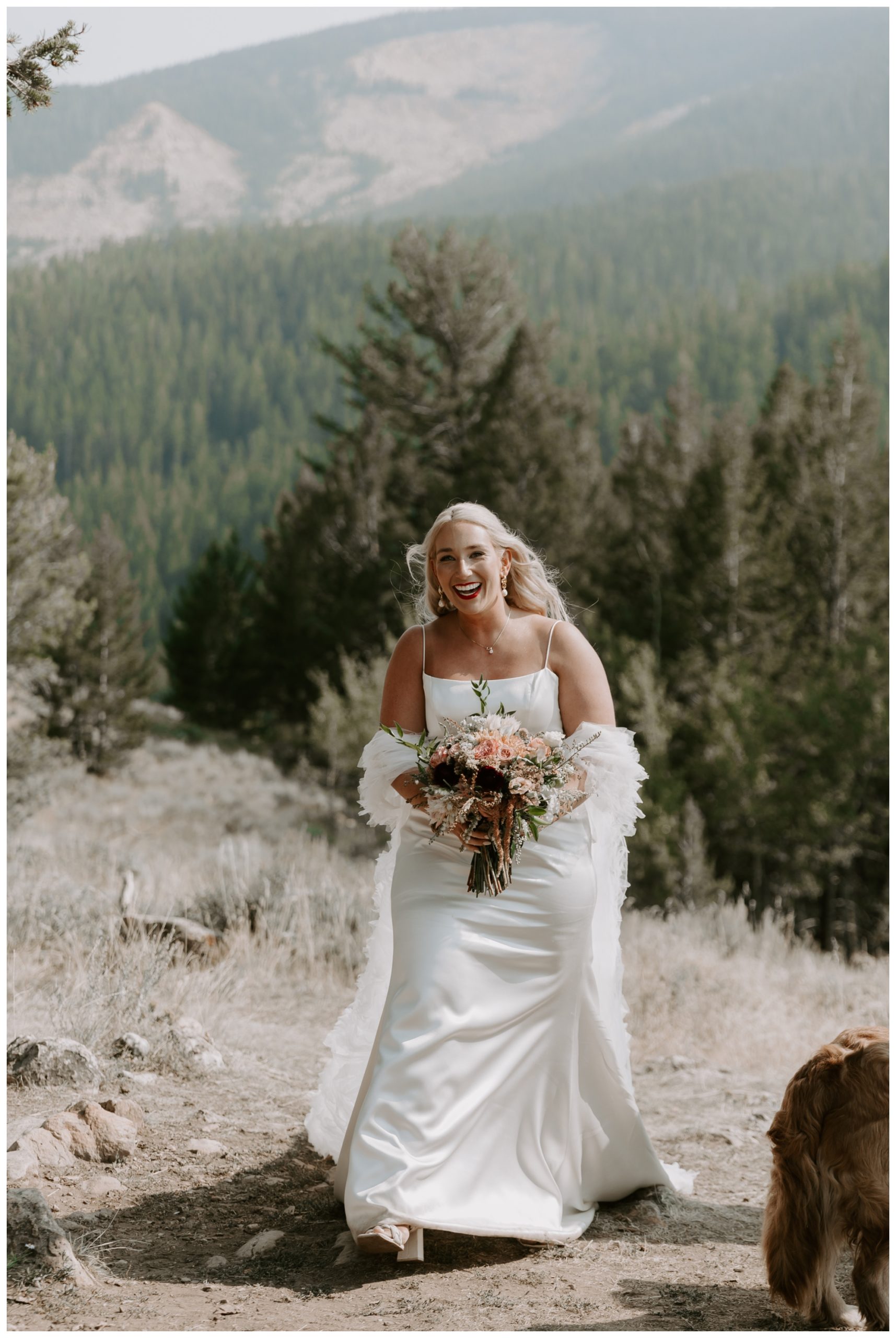 The Wedding Tree; Bridger-Teton National Forest; Grand Teton elopement locations